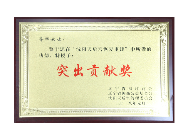 Outstanding Contribution Award in Rehabilitation of Shenyang