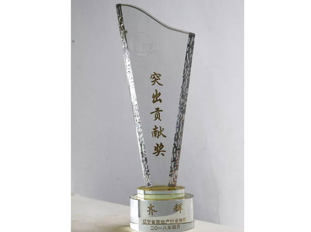 2018 Outstanding Contribution Award of Liaoning Real Estate